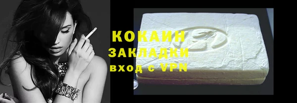 индика Богородицк