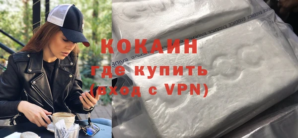 индика Богородицк